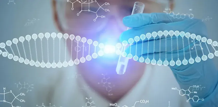 Proceso de PCR: Pasos Clave Explicados